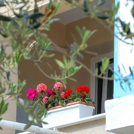 Suric Apartment *
