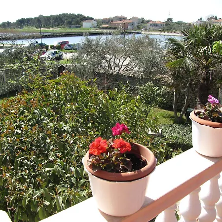 Suric Apartment Nin